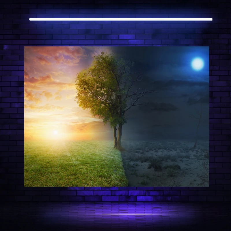 مدل تابلو بوم مخمل بلک لایت طرح درخت زندگی و مرگ مدل دیپ کد BK23274