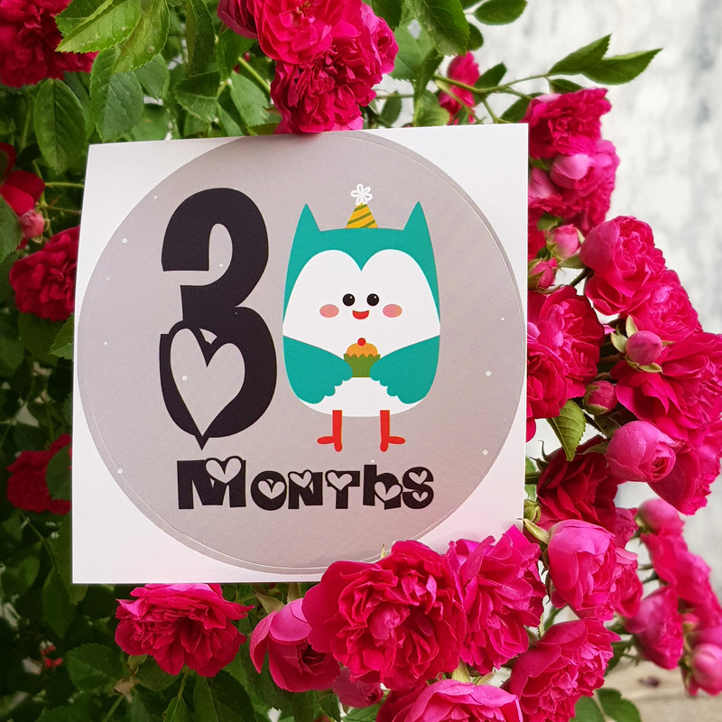 لوازم تم عکاسی کودک مدل ماهگرد نوزاد طرح حیوانات قلب قلبی مجموعه 14 عددی