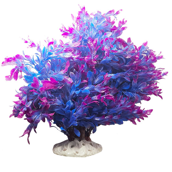 گیاه تزئینی آکواریوم کد Ma1606