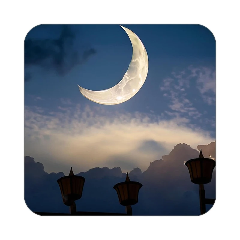 زیر لیوانی کاکتی طرح ماه و ستاره مدل mp52742