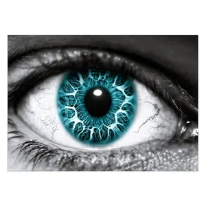 Wensoni Cyan Eye Chassis Size 70 x 50