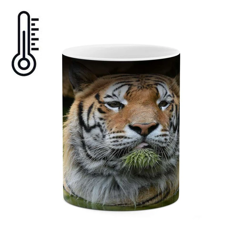 ماگ حرارتی کاکتی مدل ببر کد mgh16649