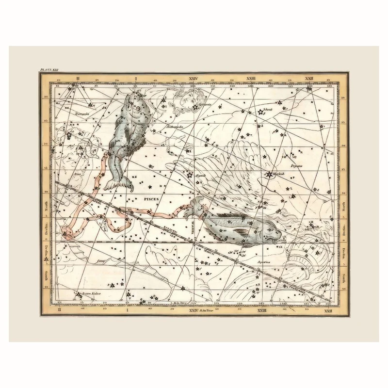 پوستر مدل صورت فلکی زودیاک ماهی 