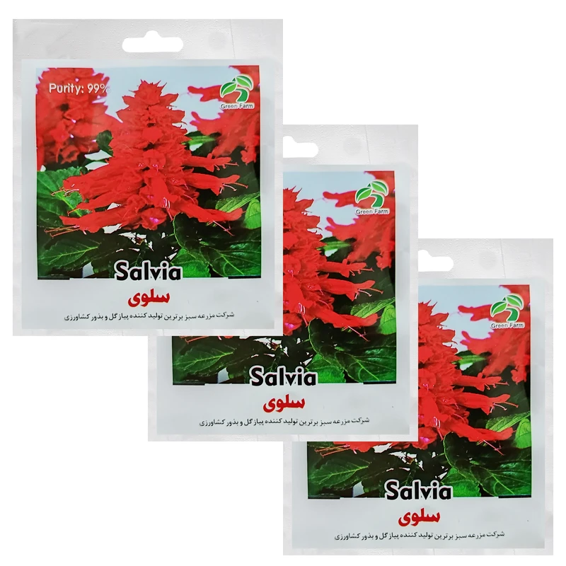 بذر گل سلوی گرین فارم کد GRFS 32 بسته 3 عددی