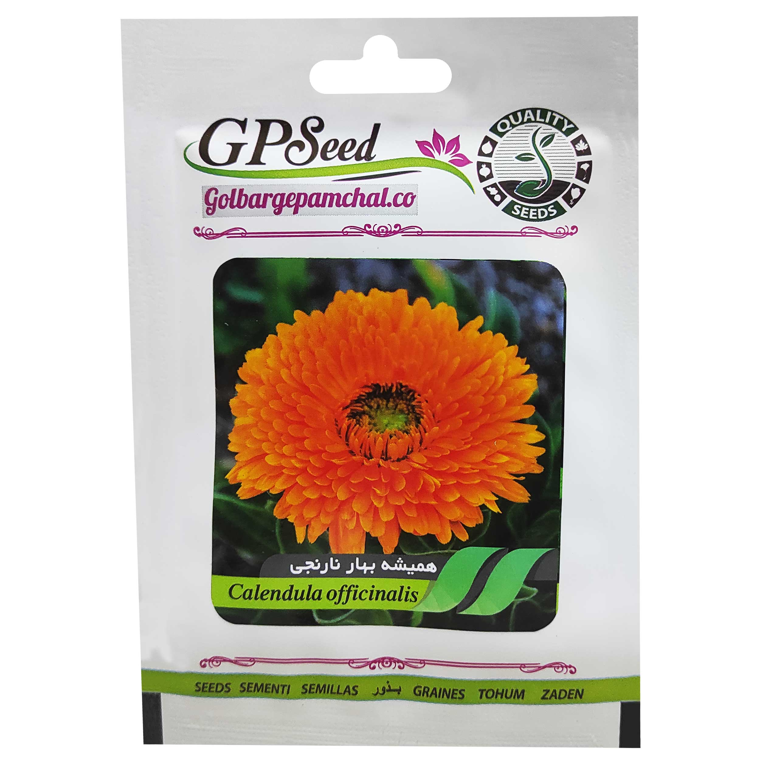بذر گل همیشه بهار پاکوتاه نارنجی گلبرگ پامچال کد GPF-097
