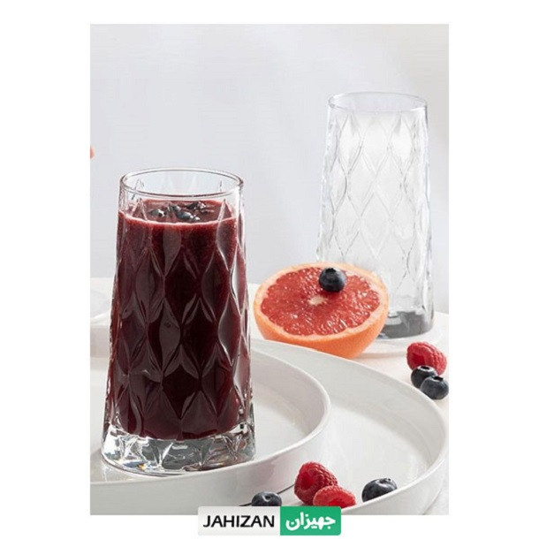 لیوان پاشاباغچه مدل لیفی کد 420955 بسته 4 عددی