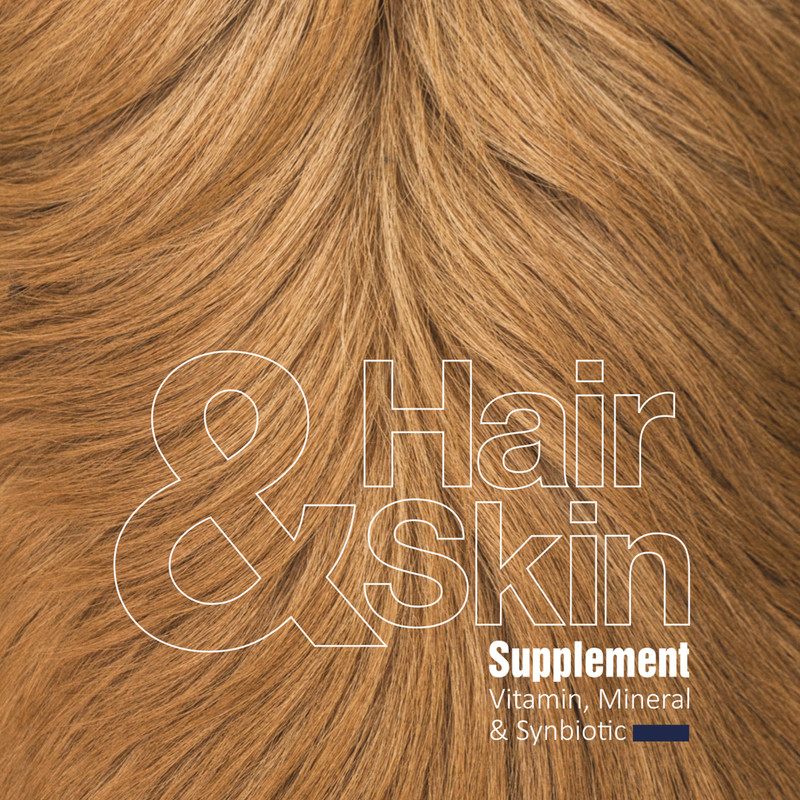 پودر مکمل سگ بایو پت مدل Hair and Skin وزن 200 گرم