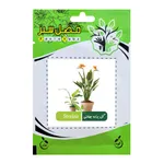 بذر گل پرنده بهشتی فصل سبز کد FSSEED-32