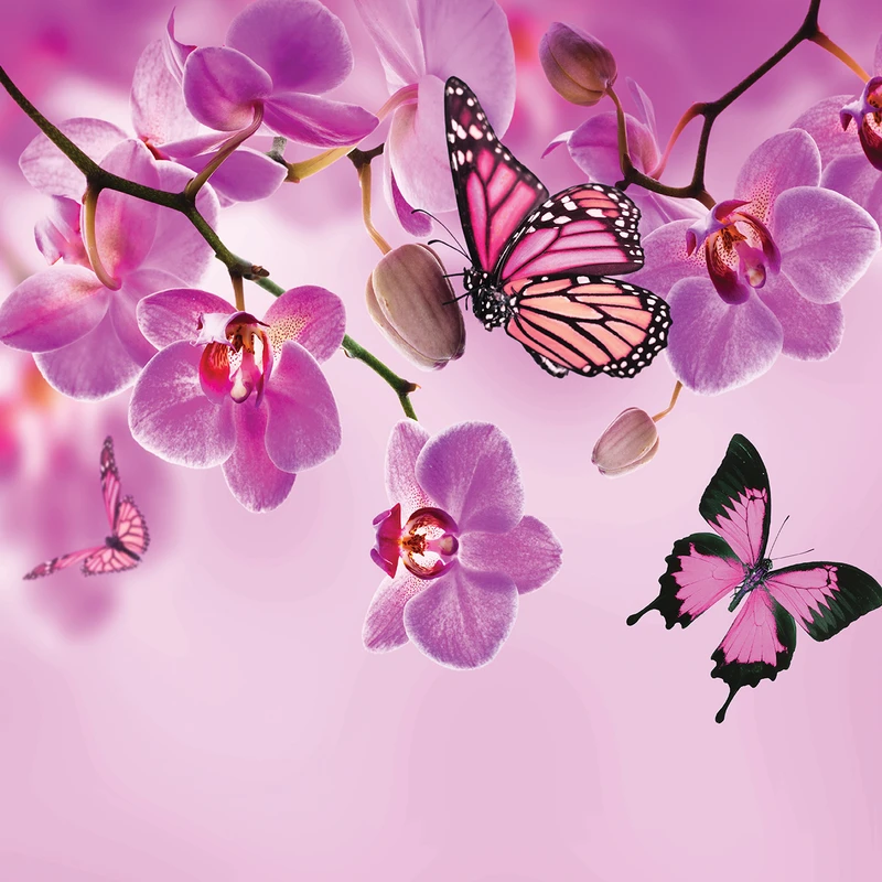 استیکر کاشی مدل nature 03 بسته 10عددی