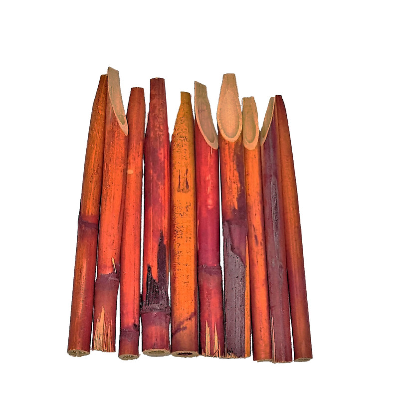 قلم خوشنویسی مدل قلم نی خطاطی بسته 10 عددی قلم خوشنویسی مدل قلم نی خطاطی بسته 10 عددی