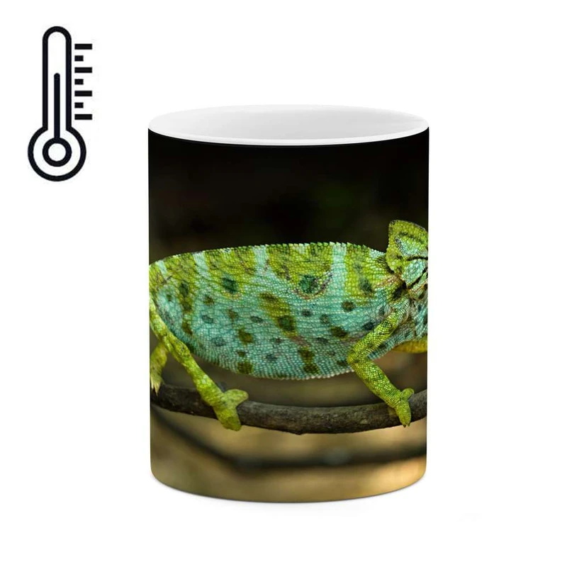 ماگ حرارتی کاکتی مدل مارمولک کد mgh17409