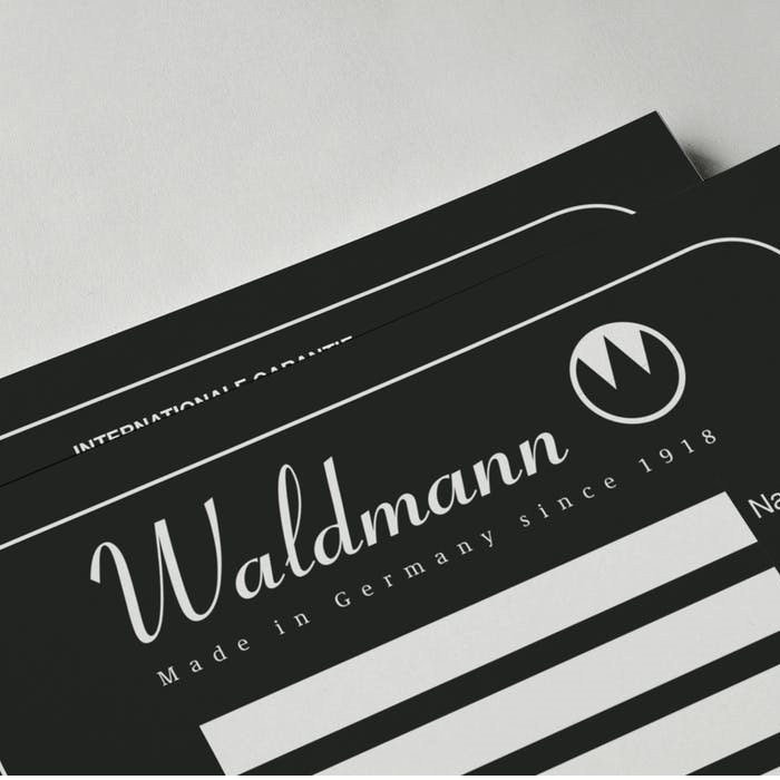 خودنویس والدمن مدل Manager کد 2250 خودنویس والدمن مدل Manager کد 2250