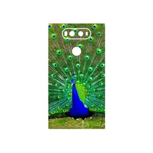 MAHOOT Peacock Cover Sticker for LG V20