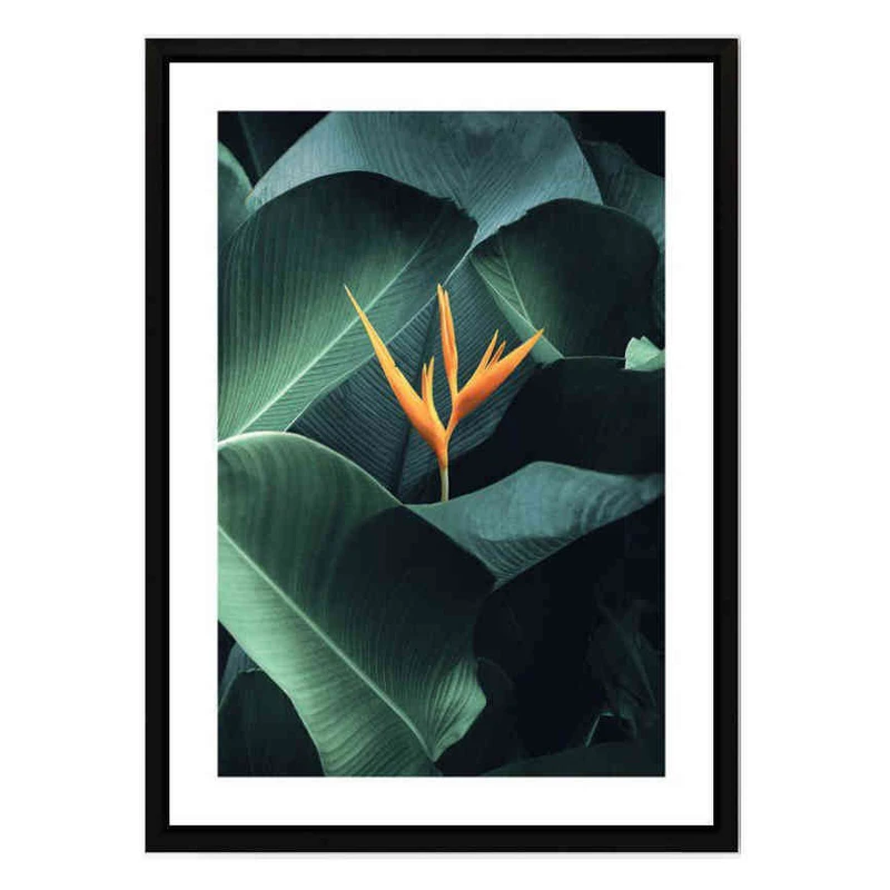 تابلو مدل Tropical plant کد 248901373