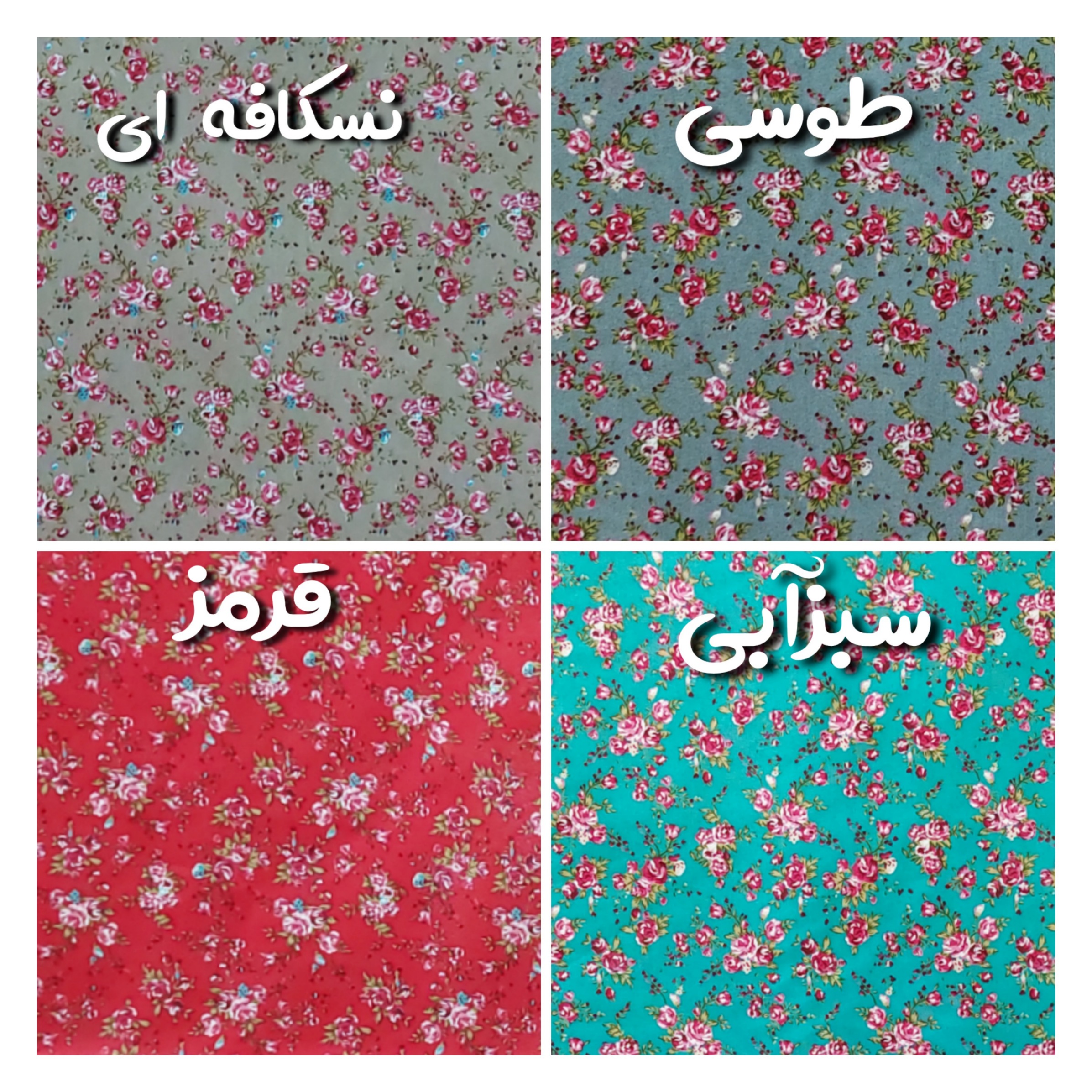 عکس شماره 2