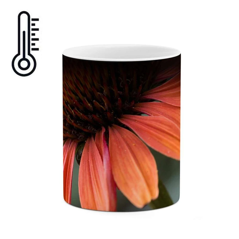 ماگ حرارتی کاکتی مدل گل کد mgh12070