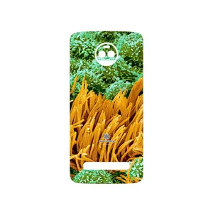 MAHOOT Atom Universe 6 Cover Sticker for Motorola Moto Z2 Force