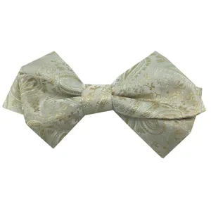 پاپیون مردانه هکس ایران مدل PV-110