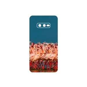MAHOOT Flamingo Cover Sticker for Samsung Galaxy S10e