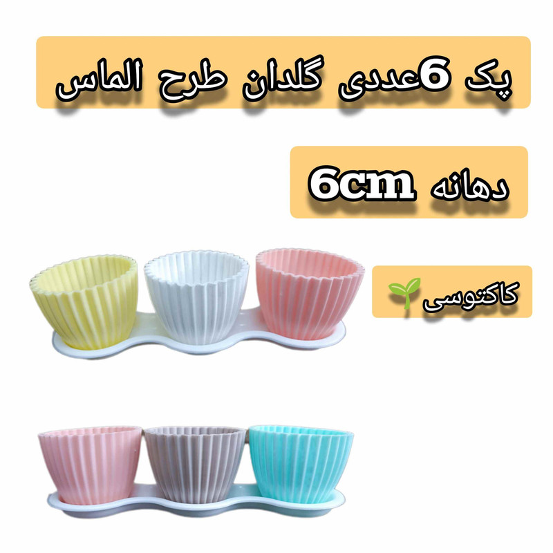 گلدان مدل کاکتوسی6cm بسته 6 عددی