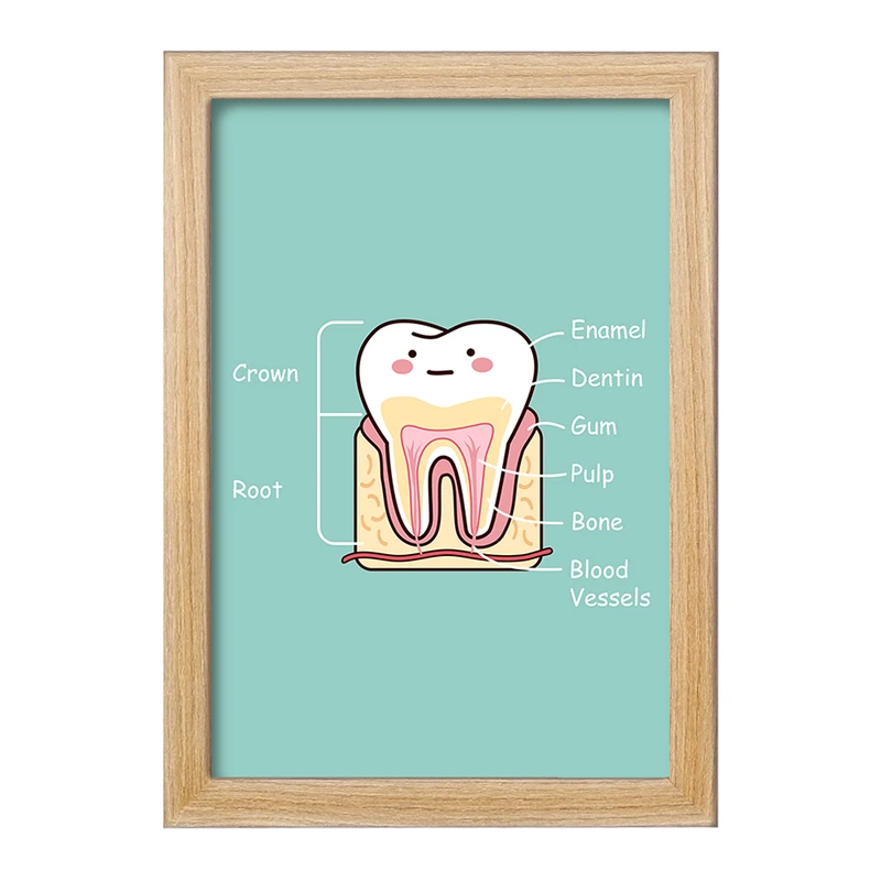 تابلو خندالو مدل دندان و دندانپزشکی کودکانه کد 27754