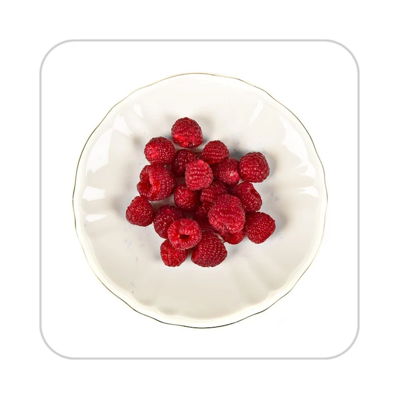 زیر لیوانی کاکتی طرح میوه مدل mp21093