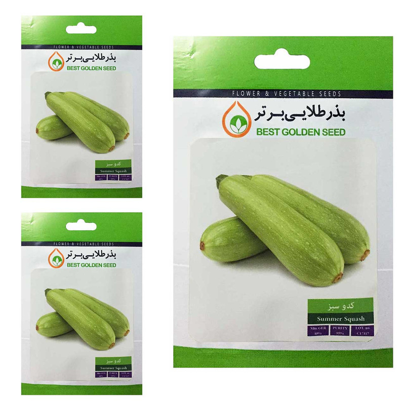 بذر کدو سبز بذر طلایی برتر کد BTB-67 مجموعه 3 عددی بذر کدو سبز بذر طلایی برتر کد BTB-67 مجموعه 3 عددی