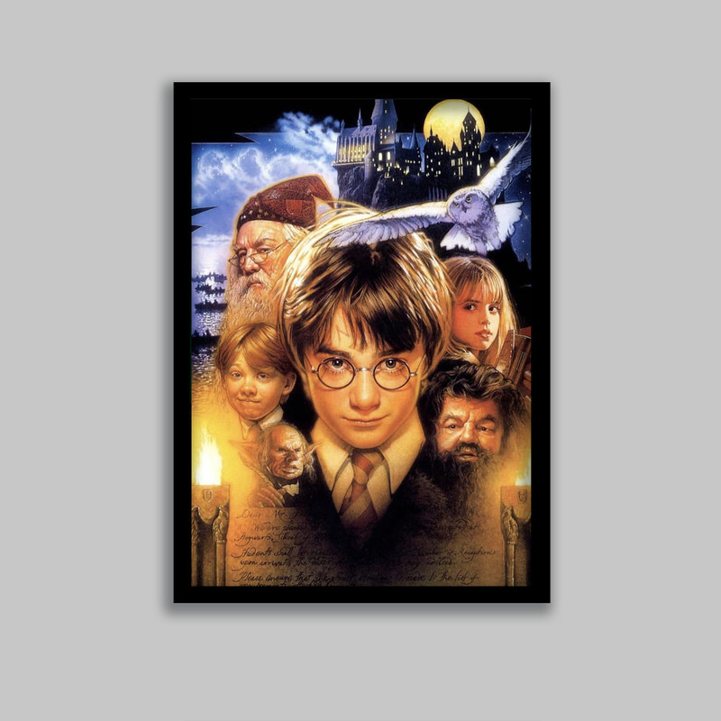 تابلو مدل هری پاتر Harry Potter کد LA-G10571-2