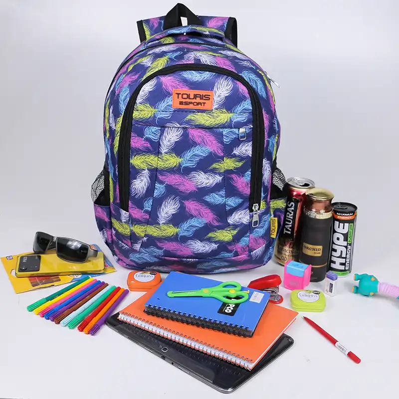 کوله پشتی توریث مدل APS-4002 به همراه جامدادی