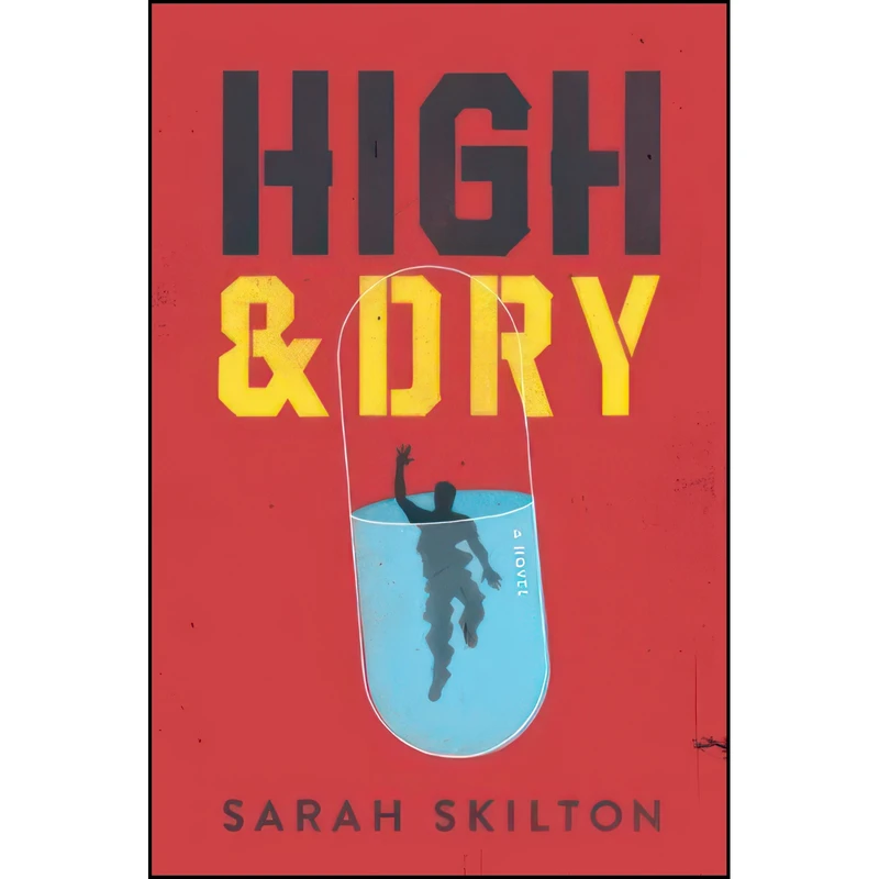 کتاب High and Dry اثر Sarah Skilton انتشارات Harry N. Abrams