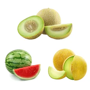 هندوانه - 9 کیلوگرم به همراه طالبی - 3 کیلوگرم به همراه ملون - 3 کیلوگرم