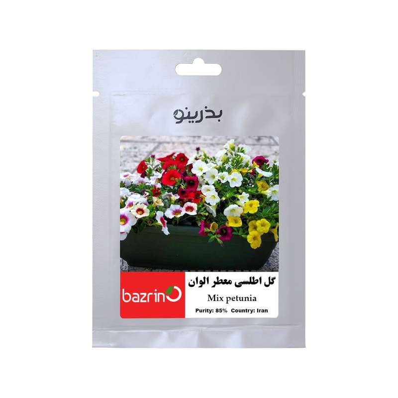 بذر گل اطلسی معطر الوان بذرینو کد BZNO-009