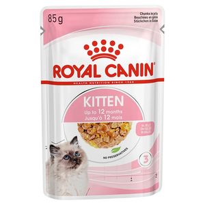 پوچ گربه نابالغ رویال کنین مدل کیتن ژله ای طعم مرغ وزن 85 گرم