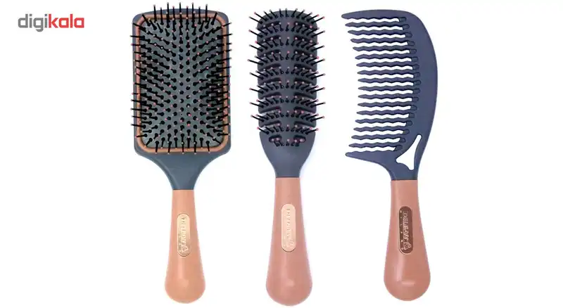 شانه و برس دلگان مدل P05-000001 بسته 3 عددی