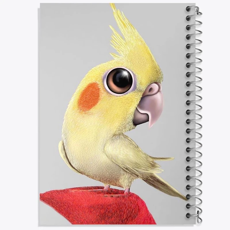 دفتر نت موسیقی 50 برگ خندالو مدل پرنده کد 28297