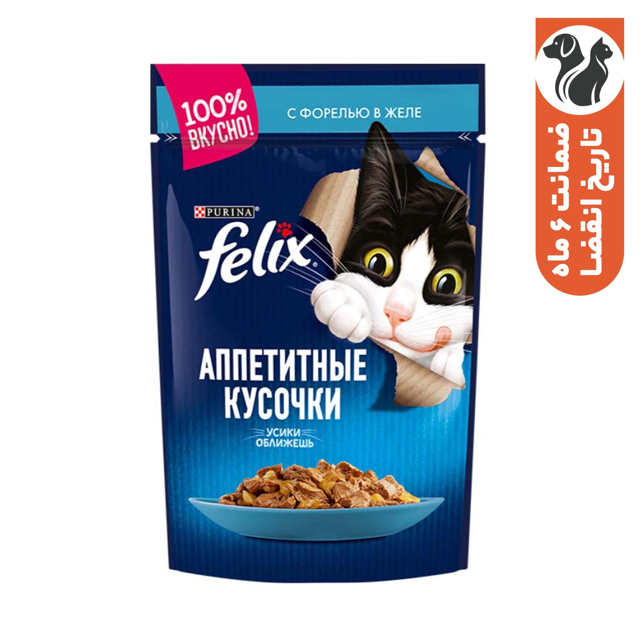 غذای پوچ گربه فلیکس مدل اشتها آور ماهی قزل آلا در ژله وزن 85 گرم