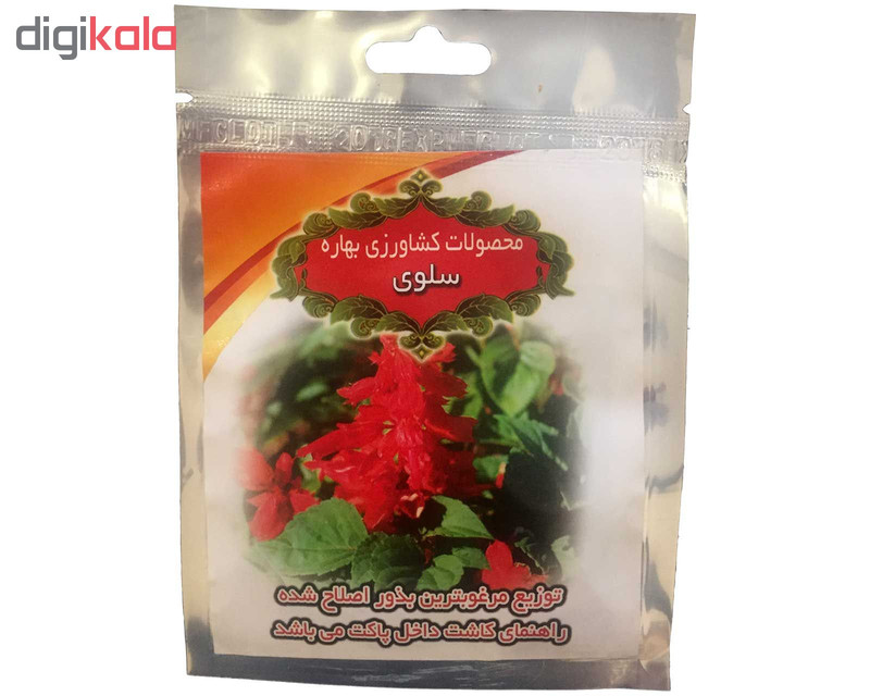 بذر گل سلوی محصولات کشاورزی بهاره کد 120