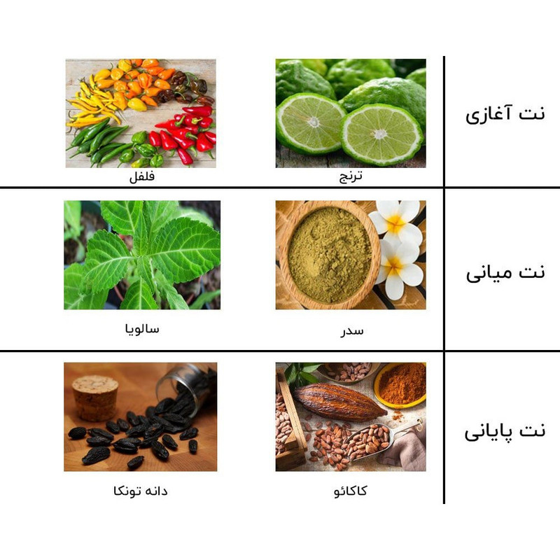 ادو پرفیوم مردانه نیفتی مدل کارولینا هررا بدبوی حجم 100 میلی لیتر
