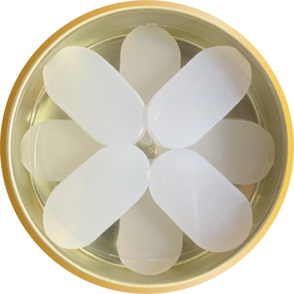 گوشگیر ژله ای کلور پلاس مدل 04 بسته 8 عددی