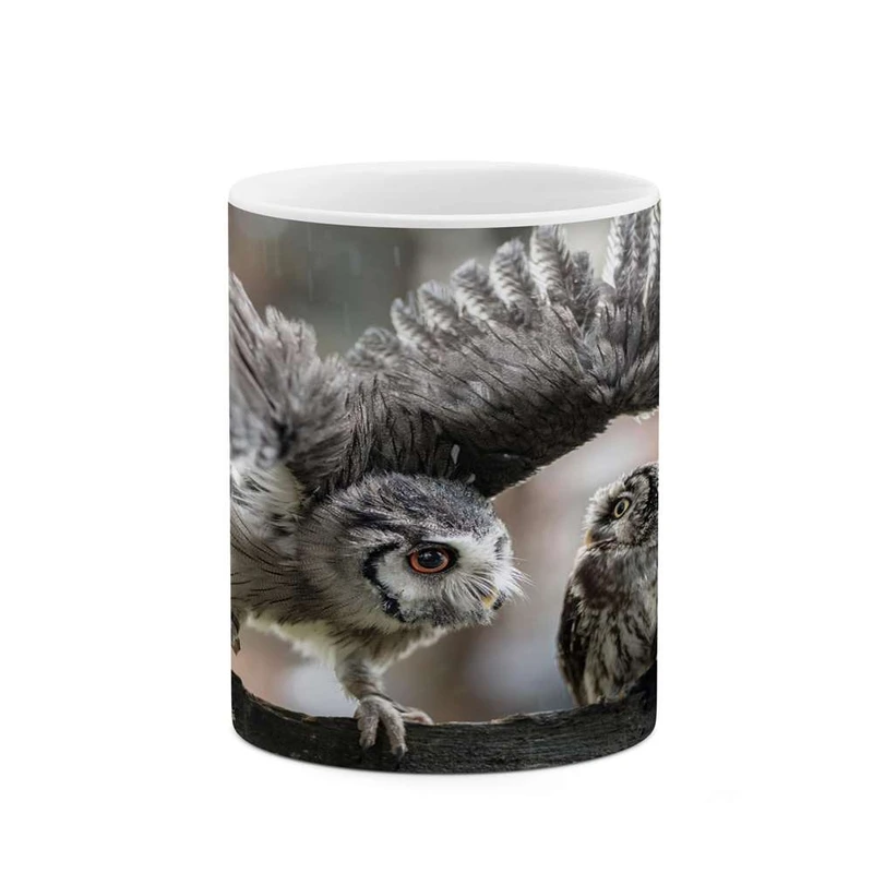 ماگ کاکتی مدل جغد کد mgh14813