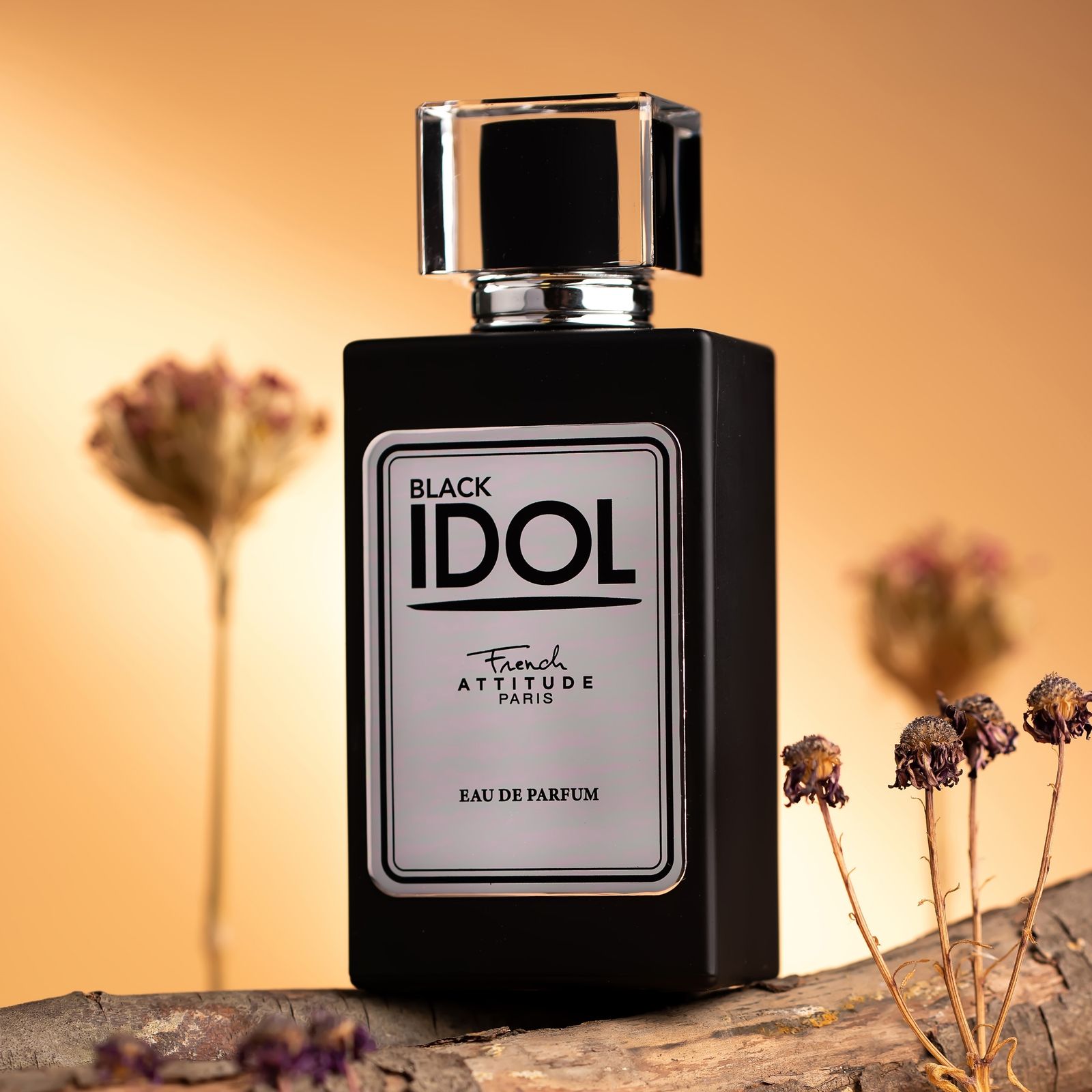 ادو پرفیوم مردانه فرنچ اتیتود پاریس مدل IDOL با رایحه خنک حجم 100 میلی لیتر -  - 5