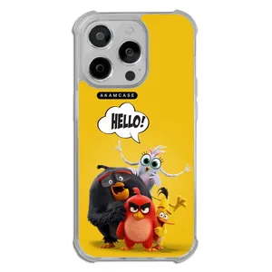 AKAM AMC-WTA14PRO-ANGRY BIRDS17 Cover For Apple iPhone 14 Pro