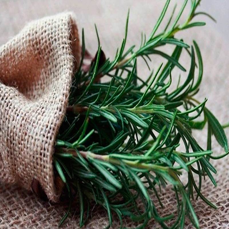 رزماری دهکده سبز سلامت - 150 گرم