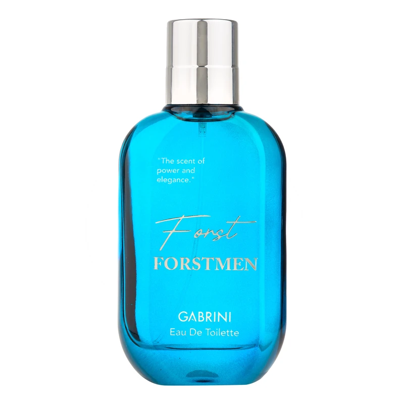 ادو تویلت مردانه گابرینی مدل Frostmen با رایحه خنک حجم 100 میلی لیتر