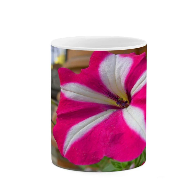 ماگ کاکتی مدل گل کد mgh10815