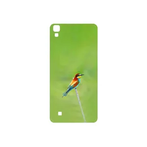 MAHOOT European bee-eater Cover Sticker for LG X Power