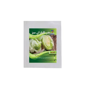 بذر کاهو پیچ شرکت گلباران سبز گیلان مدل BK بسته 20 عددی