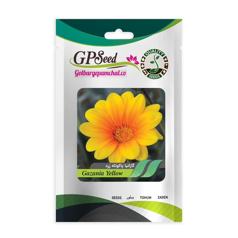 بذر گل گازانیا پاکوتاه زرد گلبرگ پامچال کد GPF-260