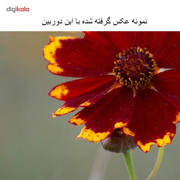 دوربین دیجیتال کانن مدل EOS 70D + 18-55 IS STM main 1 15