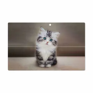 MAHOOT Cat-2 Cover Sticker for Microsoft Surface 2 RT 2013